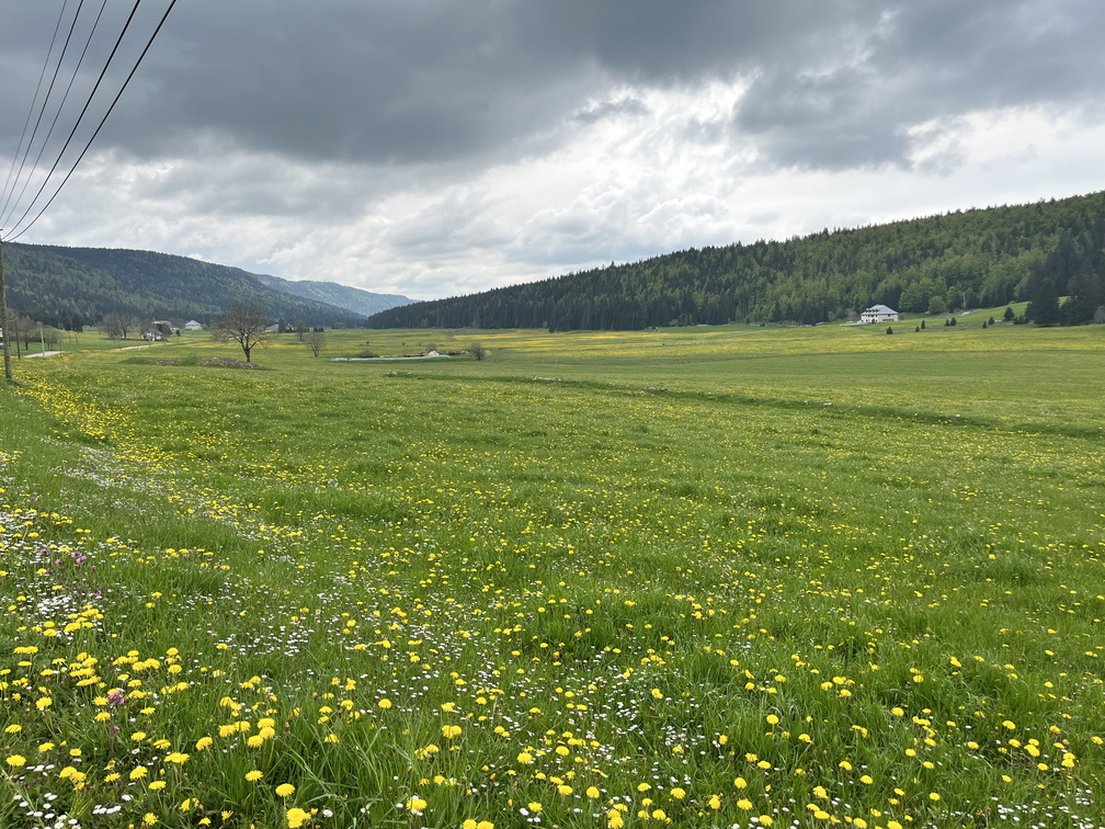 23-05-21 15-46-34 5531